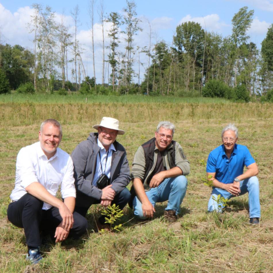 Stieleichen, Hainbuchen und mehr: Kleiner Wald zum Jubiläum des Kreises Viersen gepflanzt