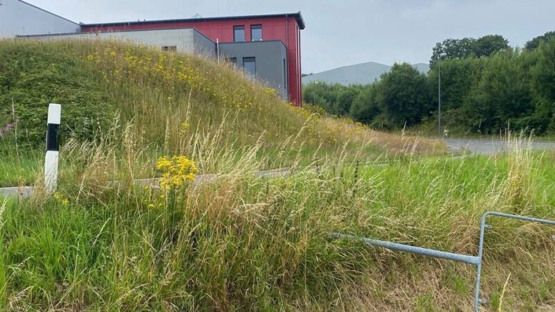 Straßenverkehr in Radevormwald: Ortsschild an der K11 zum dritten Mal gestohlen