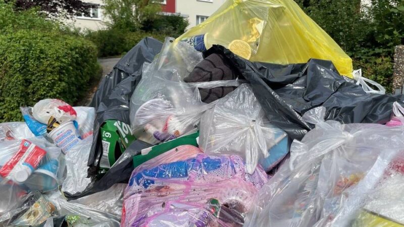 Städte bitten das Umweltbundesamt um Hilfe: Voller Ärger über volle Gelbe Tonnen