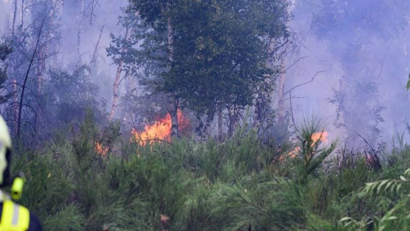 Feuerwehr Leverkusen nennt Verhaltensregeln: Waldbrandgefahr im Stadtgebiet bleibt hoch