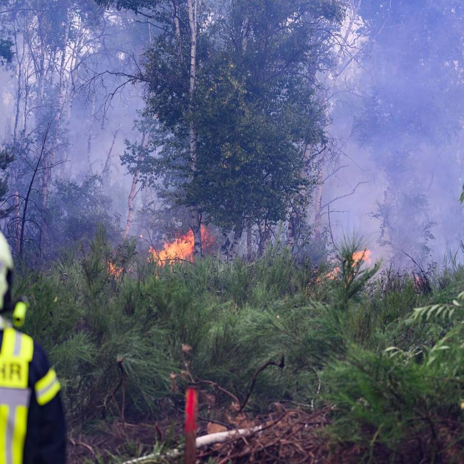 Feuerwehr Leverkusen nennt Verhaltensregeln: Waldbrandgefahr im Stadtgebiet bleibt hoch