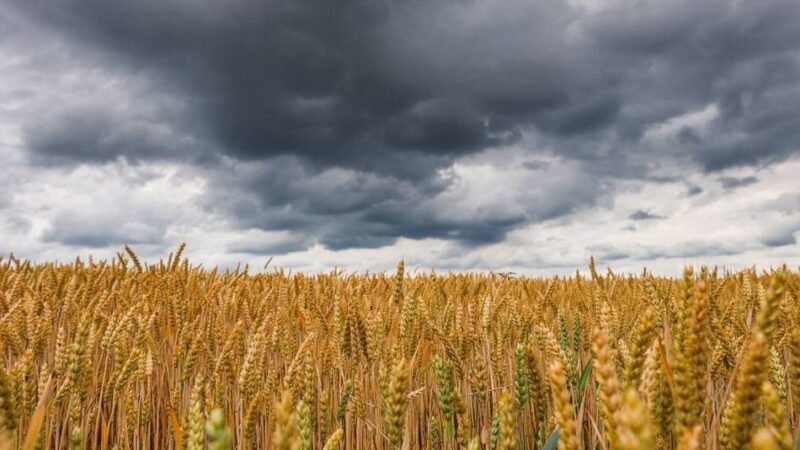 Nach der Hitze kommt das Gewitter: Unwetterwarnung für Grevenbroich – Feierabendmarkt kurzfristig abgesagt