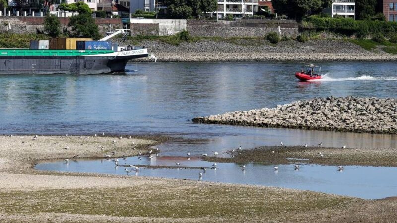 Mehrere Tote bei Badeunfällen: „Baden im Rhein ist kein Ausflug ins Freibad“
