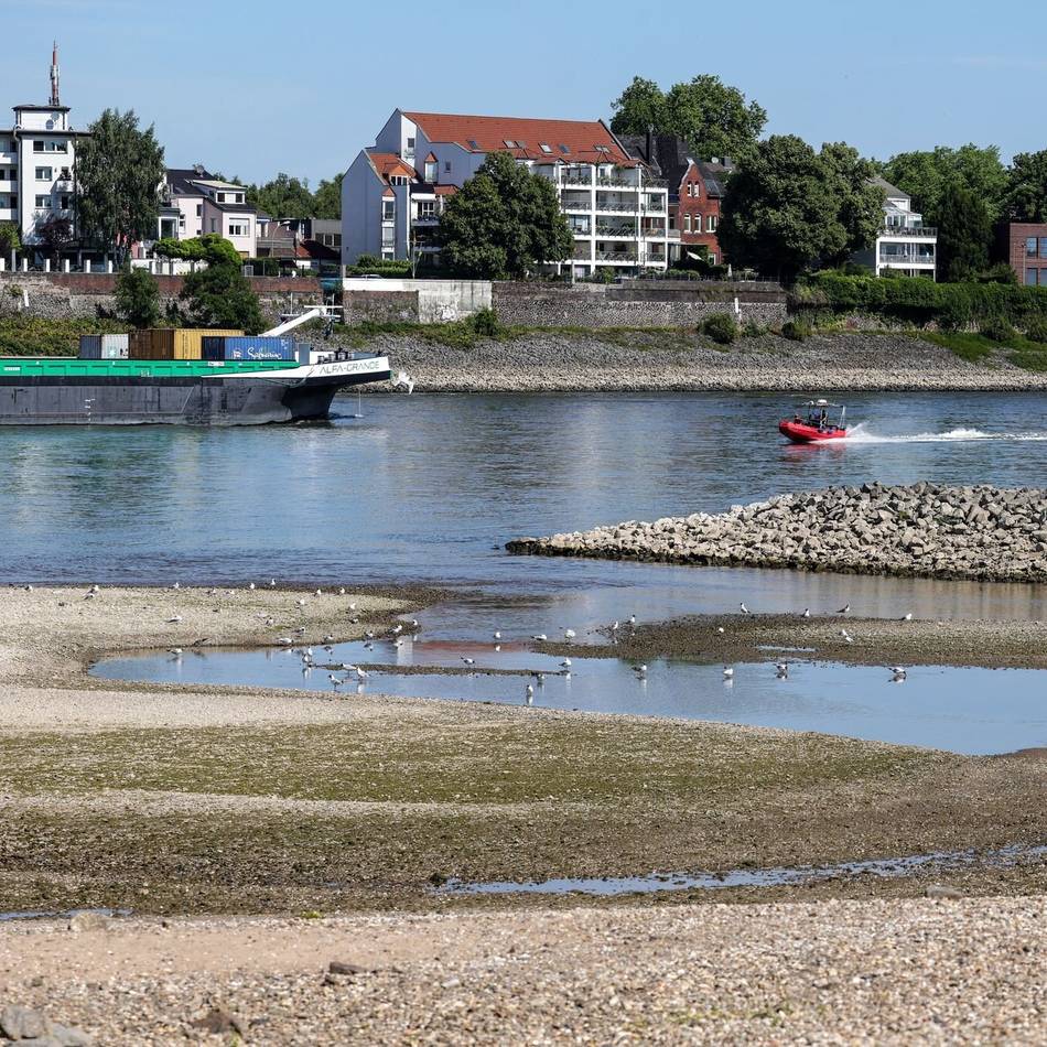 Mehrere Tote bei Badeunfällen: „Baden im Rhein ist kein Ausflug ins Freibad“