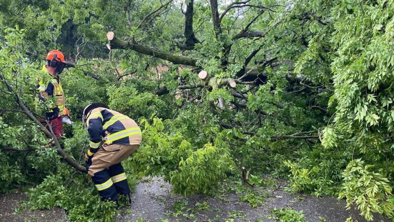 Feuerwehreinsatz in Meerbusch: Mehrere Bäume bei Sturm umgestürzt