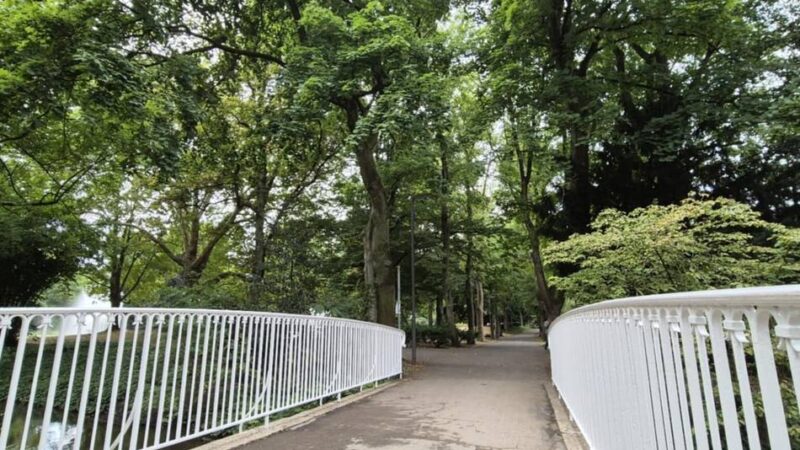 Romantik-Aus: Warum die Liebes-Schlösser an der Brücke im Neusser Rosengarten verschwunden sind