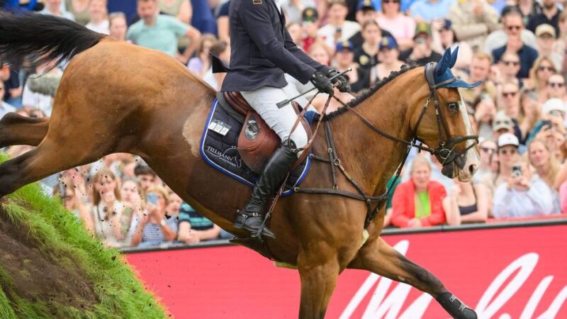 Frederic Tillmann ist NGZ-Sportler des Monats Juni: Traum vom Sieg beim Spring-Derby in Hamburg lebt weiter
