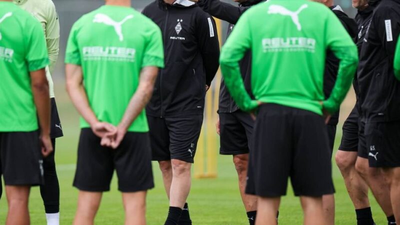 Neues Video-Format gestartet: User stellten Fragen zu Borussia – Fohlenfutter-Reporter lieferten Antworten