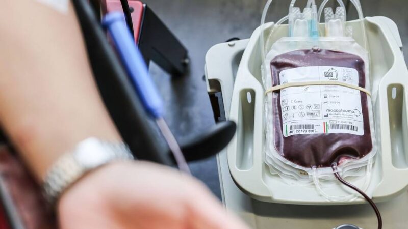 Mettmann braucht frische Konserven zur Ferienzeit: Rotes Kreuz ruft zur Blutspende auf