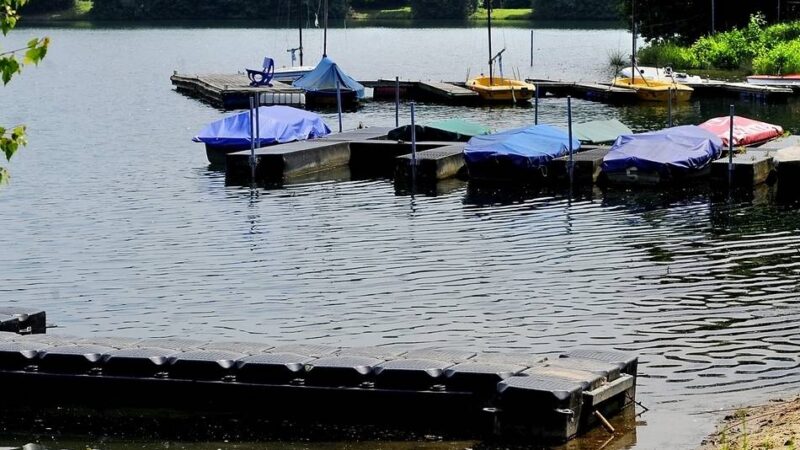 VHS-Sommerkurs in Kamp-Lintfort: Schuppertauchen im Rossenrayer See