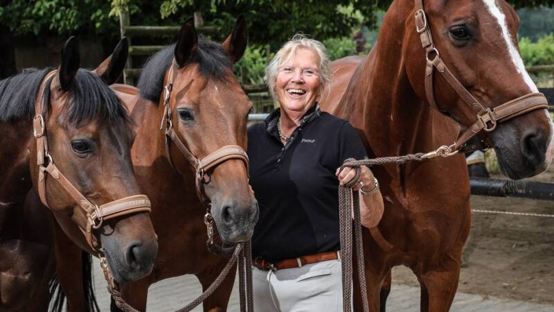 Neue Rotary-Präsidentin legt Fokus auf Mensch-Tier-Beziehung: „Wir essen sie, wir kuscheln sie und nutzen sie als Ersatzteillager“