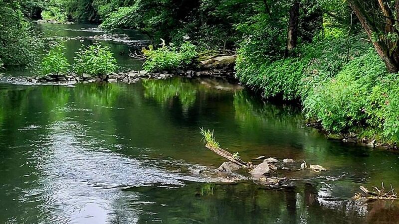 7 Fakten für Hückeswagen: „Wo die Wupper wild woget auf steinigem Weg“