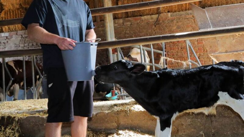 Landwirtschaft in Rheinberg: Budberger Jung-Landwirt macht Meisterprüfung mit Bestnoten