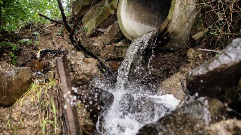 Hochwasserrisiko in Langenfeld: Bebauungsplan Hüsgen bleibt vorerst gültig, aber es herrscht Bauverbot