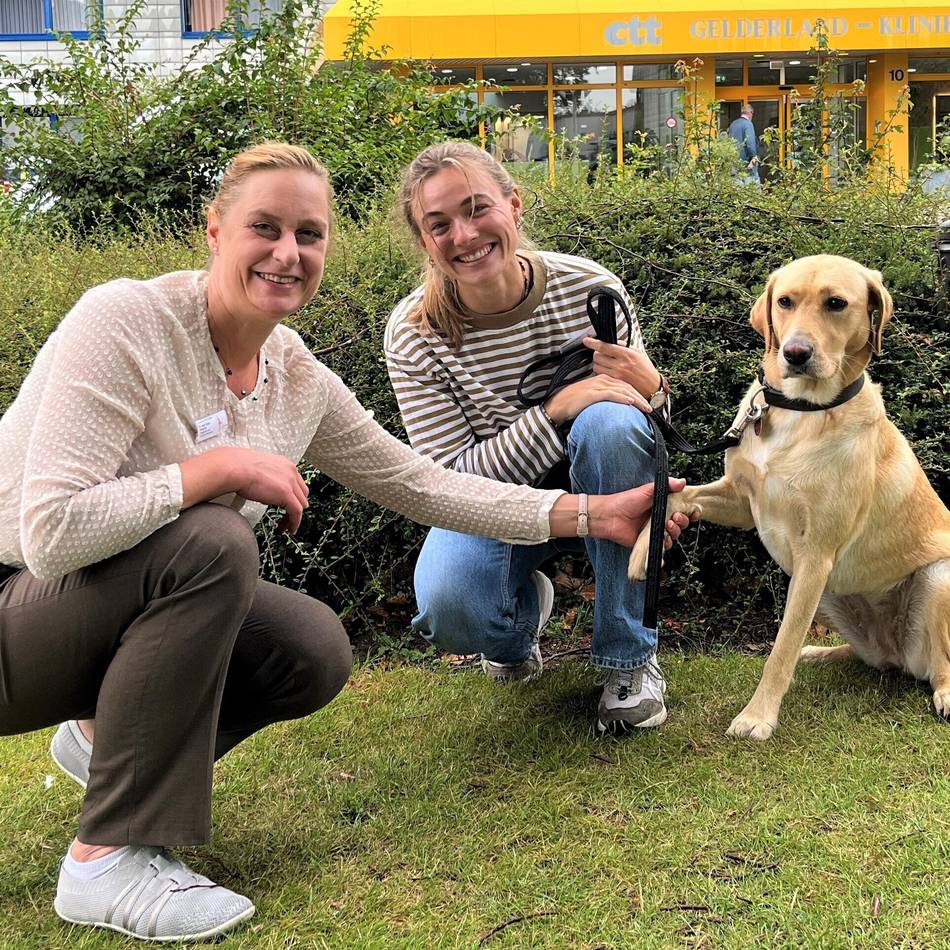 Therapiehund im Einsatz: Vier Pfoten für eine bessere Genesung in der Gelderland-Klinik