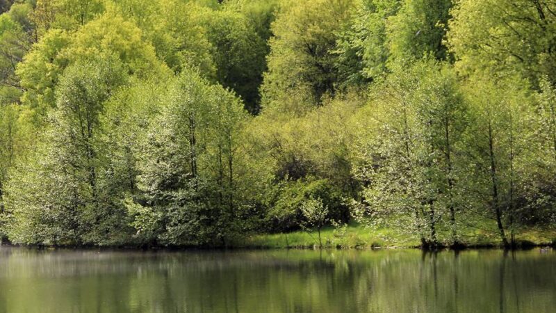 Relativ mehr Wasserfläche als andere Kreisstädte: Wermelskirchen bietet viel Seenfläche pro Einwohner