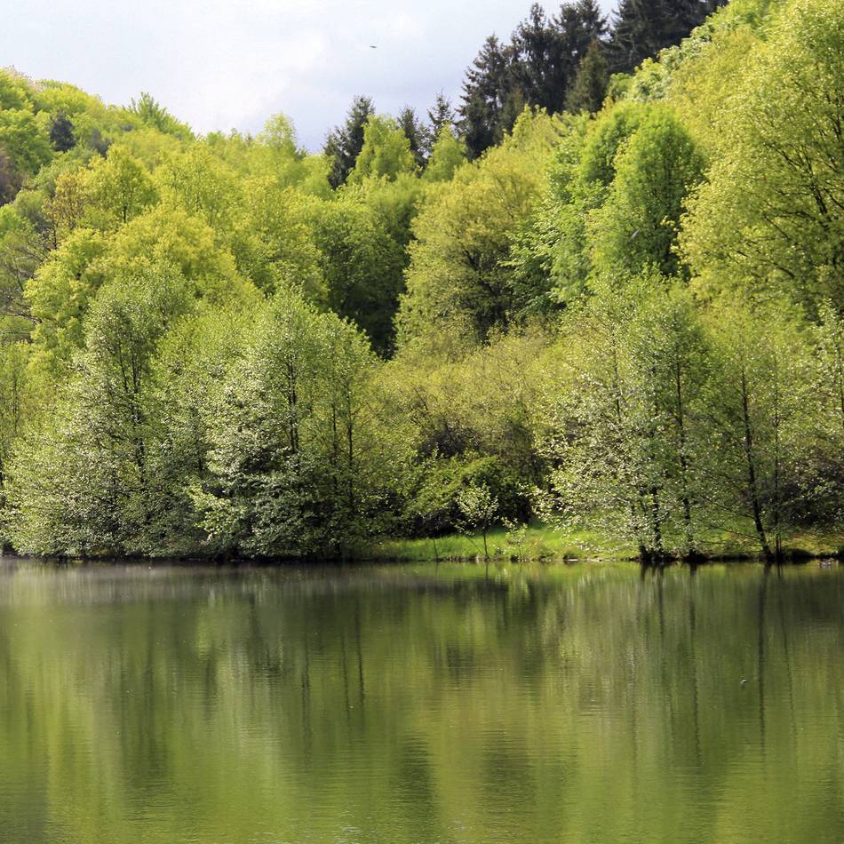 Relativ mehr Wasserfläche als andere Kreisstädte: Wermelskirchen bietet viel Seenfläche pro Einwohner