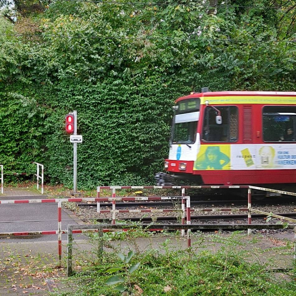 Vom 12. Juli bis zum 26. August 2025: Rheinbahn verkehrt nach Ferien-Fahrplan