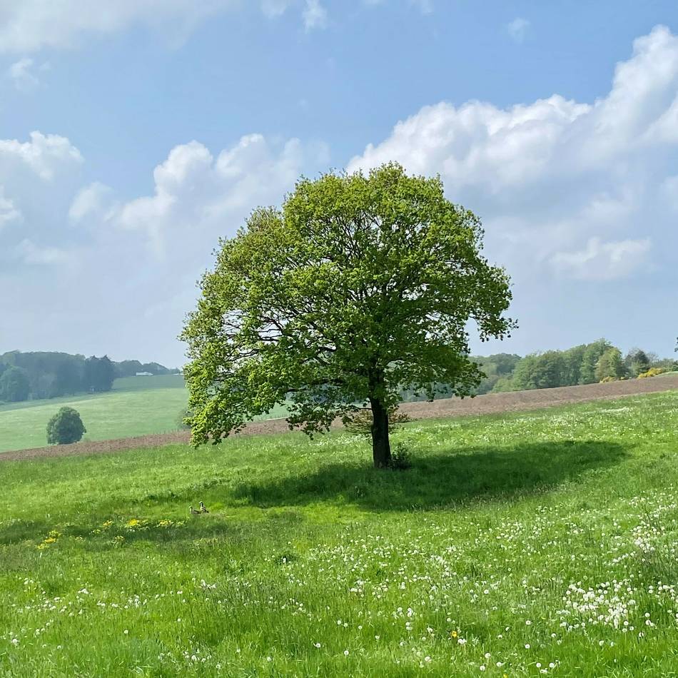 Sieben Fakten aus Radevormwald: Unterwegs am nördlichen Rand von Rade