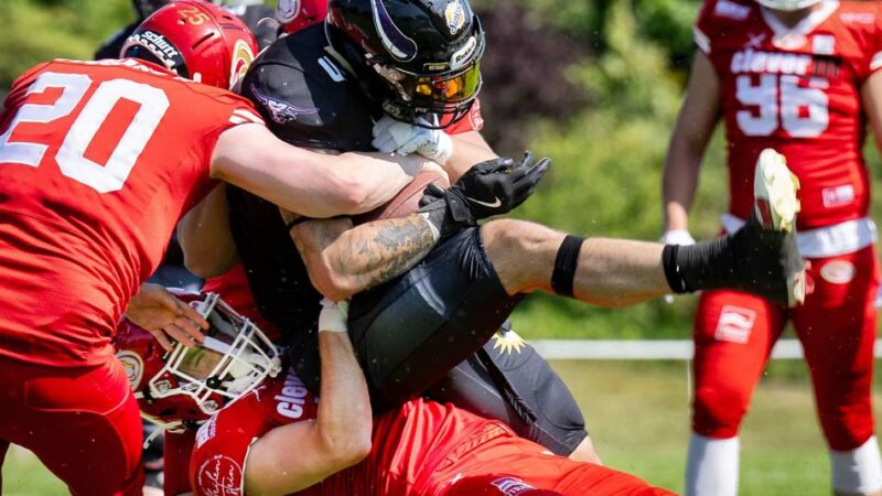 Heimspiel in der GFL 2: Langenfeld Longhorns gegen die Pirates und den Blues