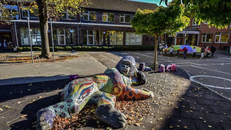 OGS-Angebote in den Schulen: Verlegung der Ferienbetreuung – Eltern in Kleve sind verärgert