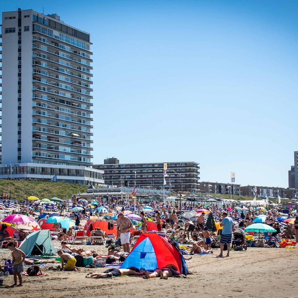 Niederländischer Urlaubsort: Anwohner in Zandvoort manipulieren aus Protest gegen Verkehrschaos Google Maps