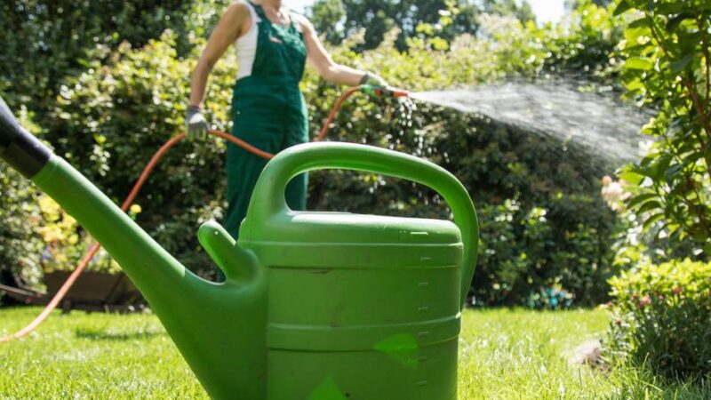 Hitze in Meerbusch: Stadtwerke raten zum Wassersparen