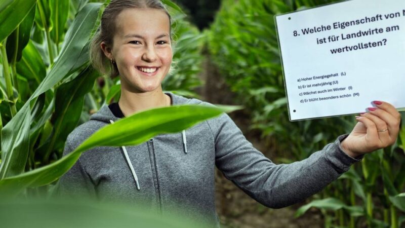 Pünktlich zum Ferienstart: Bauer Robert Bossmann eröffnet neues Maislabyrinth in Monheim