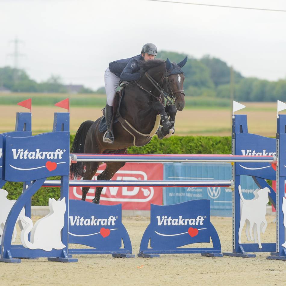 „Tiemeyer x Hetzel Young Horse Masters“: Und plötzlich ist Pfalzdorf der Nabel der Pferdesport-Welt