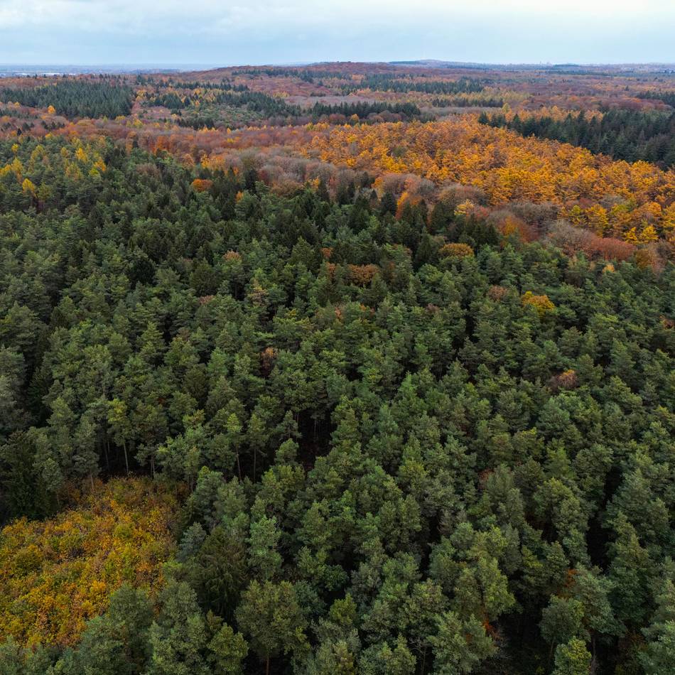 Windräder im Reichswald: Regionalplan mit Windenergie am Kartenspielerweg jetzt amtlich