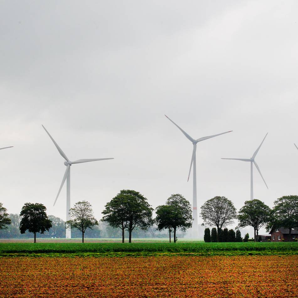 Auf dem Oermter Feld: Windfest in Issum mit Livemusik und Abenteuern für Kinder