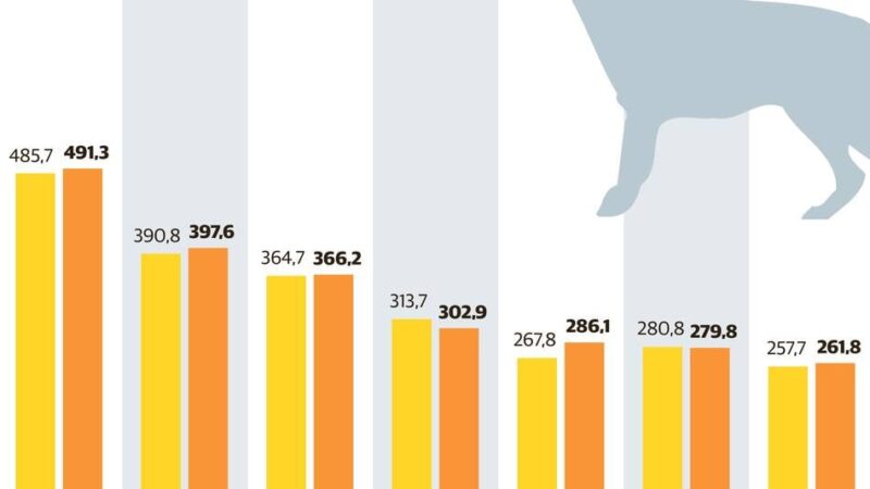 Kommunale Finanzen in Hilden und Haan: Städte nehmen immer mehr Geld mit Hundesteuer ein
