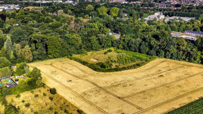 Naturschützer üben Kritik: LVR Klinik Langenfeld plant Neubau für Forensik auf gerodeter Waldfläche
