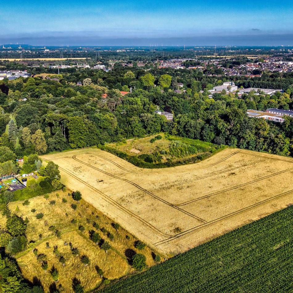 Naturschützer üben Kritik: LVR Klinik Langenfeld plant Neubau für Forensik auf gerodeter Waldfläche