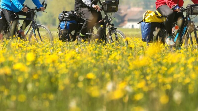 Am 6. Juli: In die Pedale, fertig, los – zweiter Raderlebnistag Niederrhein