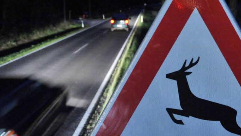 Einsatz der Feuerwehr Mönchengladbach: Rehbock stirbt bei Wildunfall auf der A 52