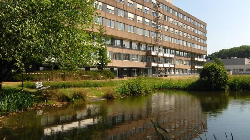 Neuer Standort in Duisburg: Bei mehr als 30 Grad Hitze – Helios Reha-Klinik zieht um
