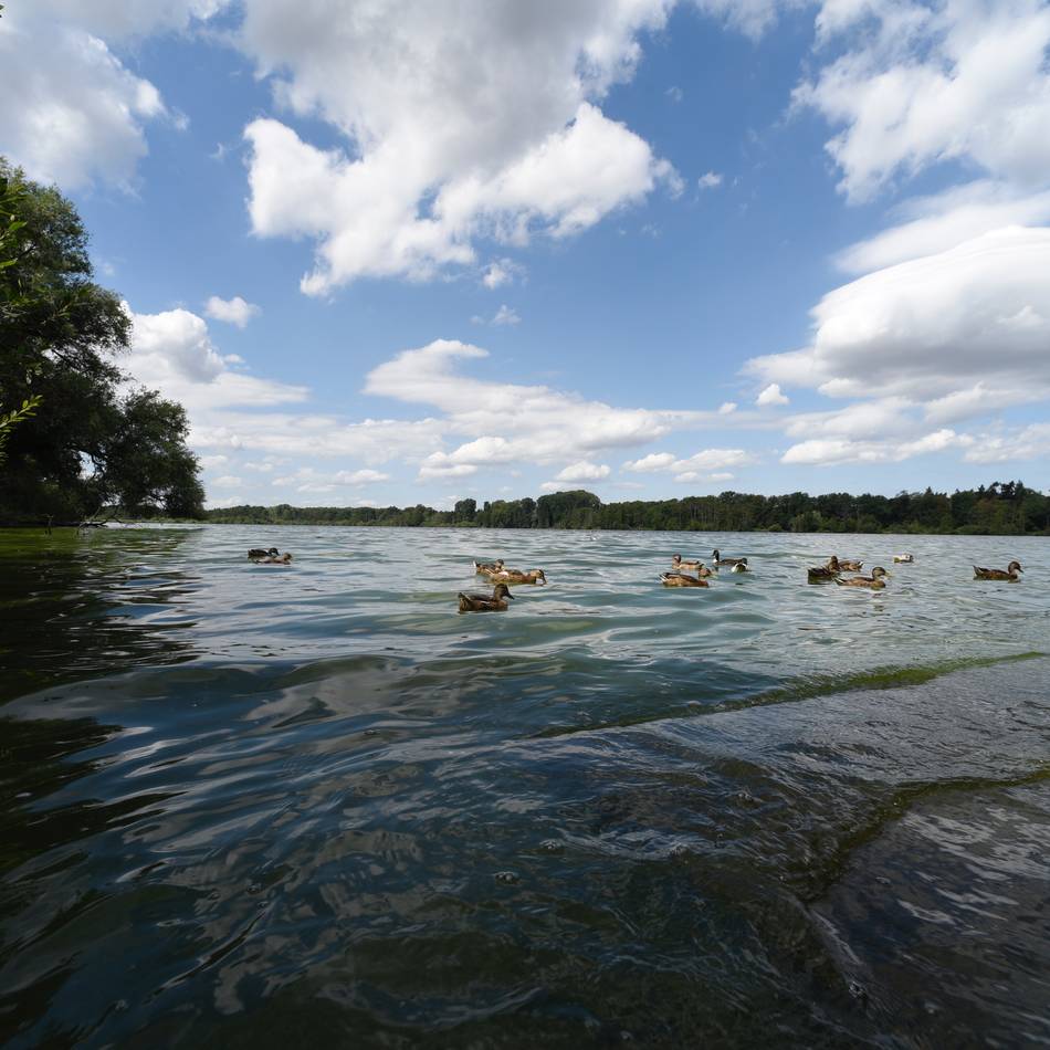 Touren-Tipp im August: Von Grefrath in die Niederlande und zurück radeln