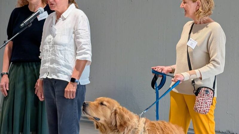 Weiterführende Schule in Alpen: Angehende Fünftklässler lernen Sekundarschule kennen