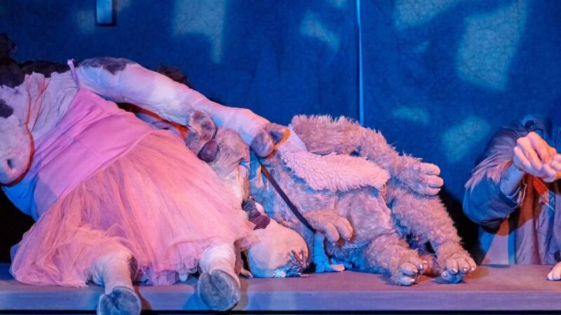 Figurenfestival in Krefeld: Beim Budenzauber tanzen die Puppen für Erwachsene