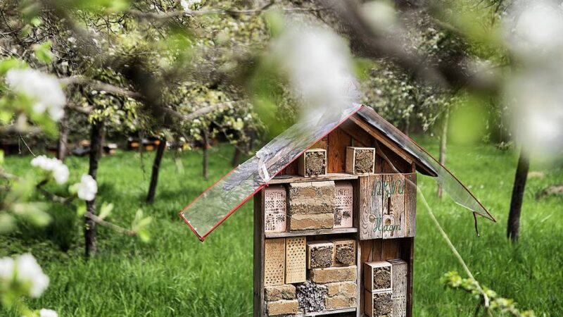 Aktion in Hilden: Naturschützer machen Inventur auf Streuobstwiese