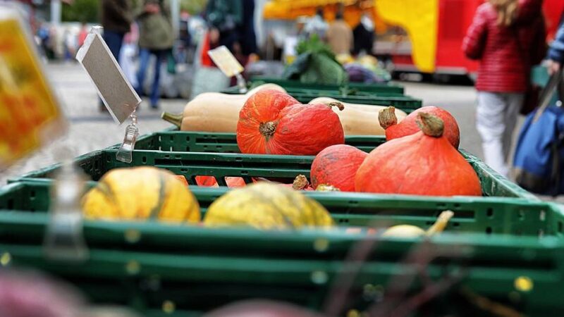 In Mettmann: Ferienaktion für Kinder auf dem Wochenmarkt