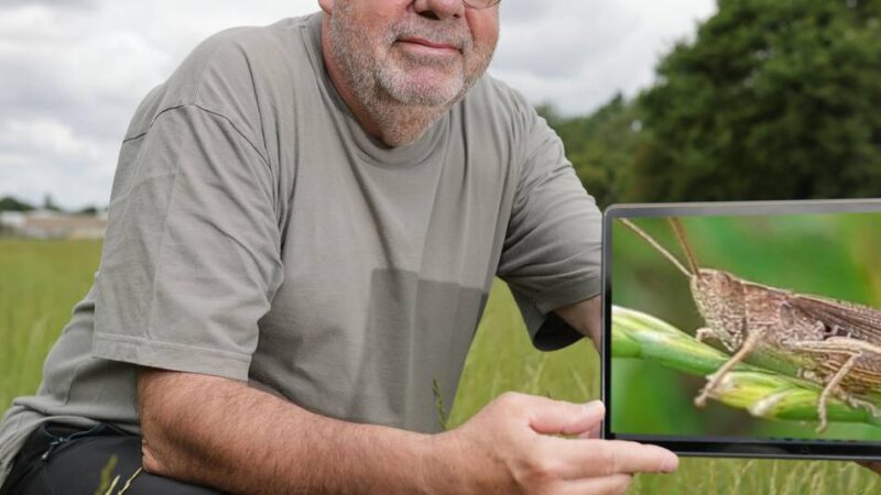 „BioBlitz“ auf der Streuobstwiese in Hilden: Naturfreunde auf den Spuren von Heuschrecke und Haselmaus