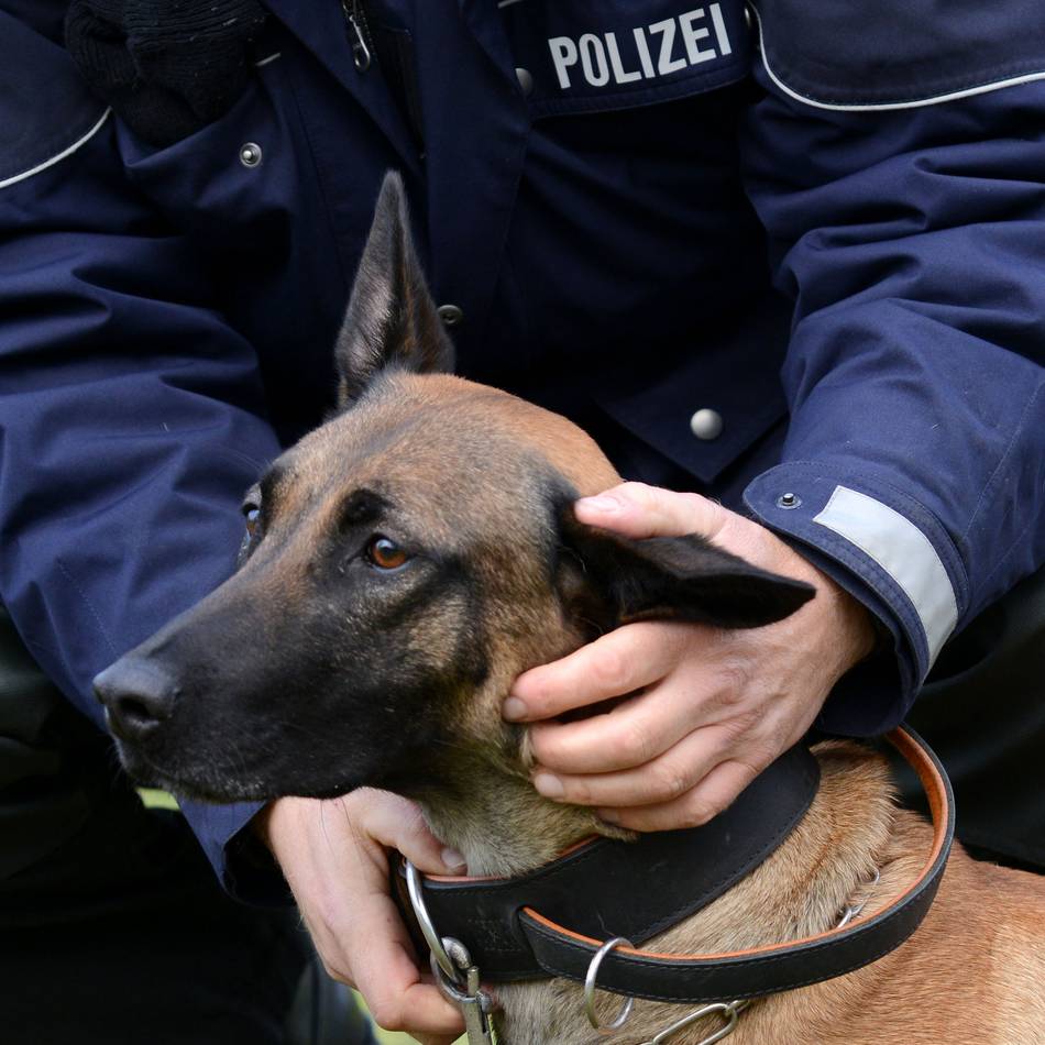Ausbildung bei der Polizei: Spezialisierung zu neuen Studienschwerpunkten ab 2026