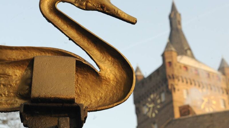 Diskussion im Rat: Schwan, Schüsterken oder Schwanenburg – Kleve ringt um das Ampelmännchen