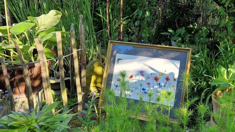 Aktion „Offene Gartenpforte“: Gartenbesitzer öffnen ihre Türen für Besucher