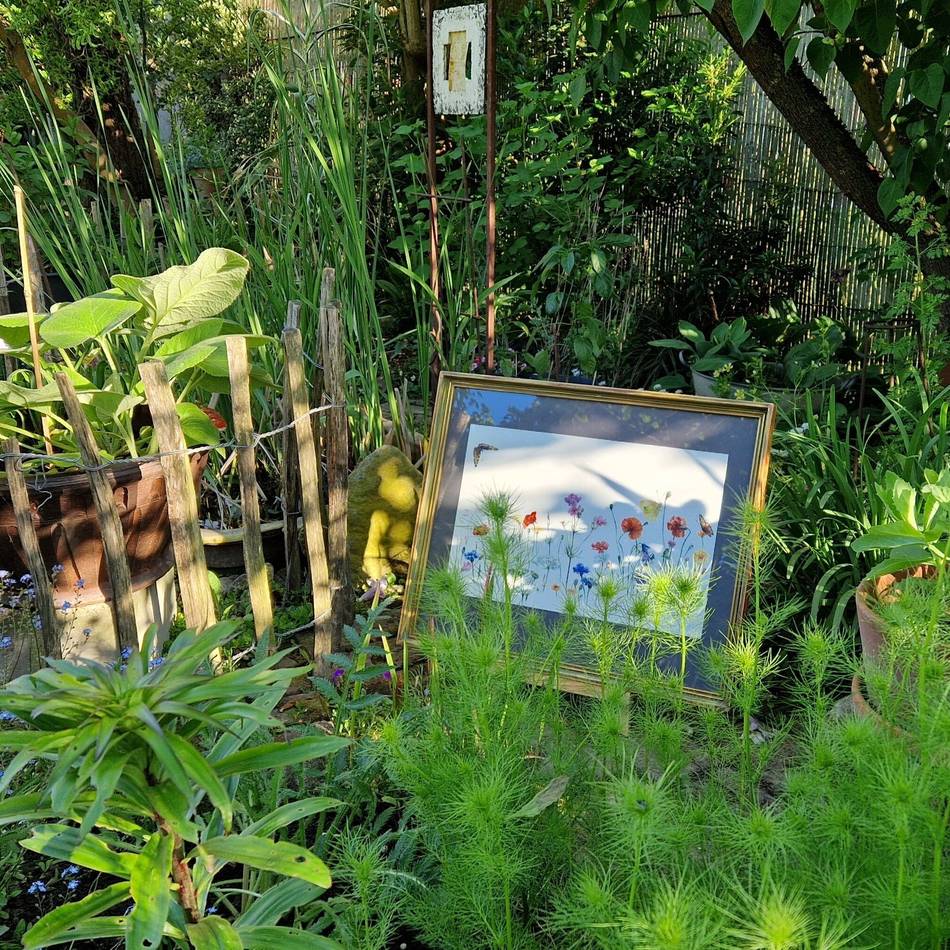 Aktion „Offene Gartenpforte“: Gartenbesitzer öffnen ihre Türen für Besucher