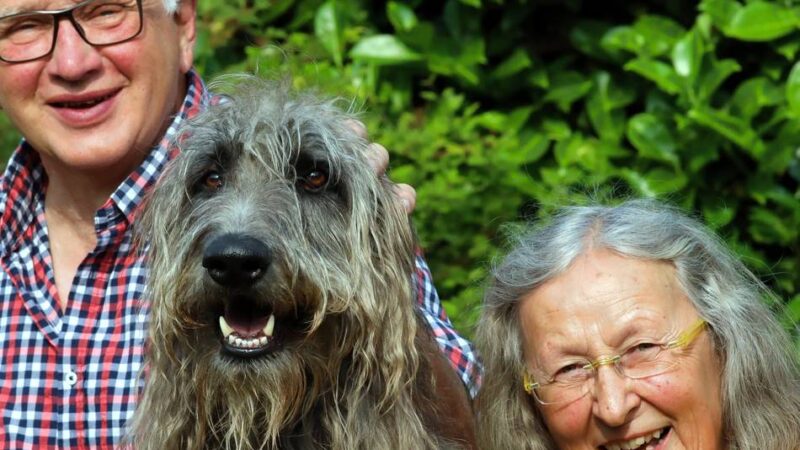 Neuer Niederrhein-Krimi von Hesse und Wirth: Kommissarin Karin Krafft ermittelt wieder – dieses Mal geht es um falsche Fuffziger