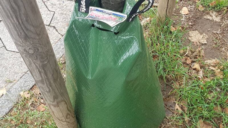 Allgemeinverfügung bis zum 31. Oktober 2025: Kreis untersagt Wasserentnahme aus Seen und Bächen