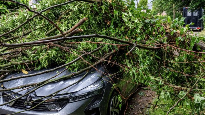 Unwetter-Einsätze für Feuerwehr Sonsbeck: Baum stürzt auf Auto – Stromleitung reißt ab